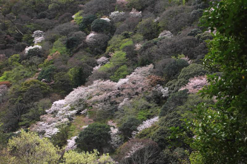 亀山展望台_003.jpg