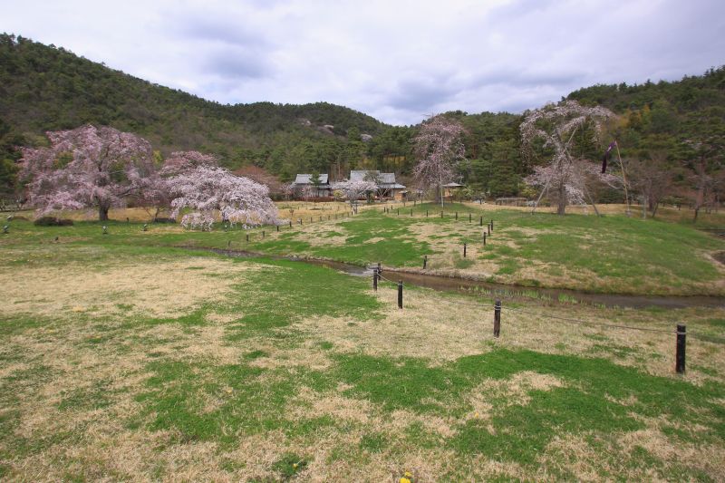 広沢の池_006.jpg