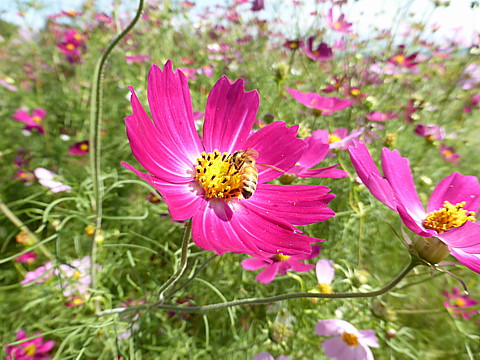 P1300136.jpg