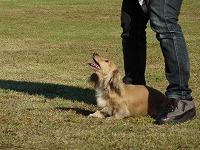 20121016150832[1].jpg