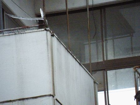 DSCF8380-450.jpg