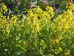 conv0654.JPG