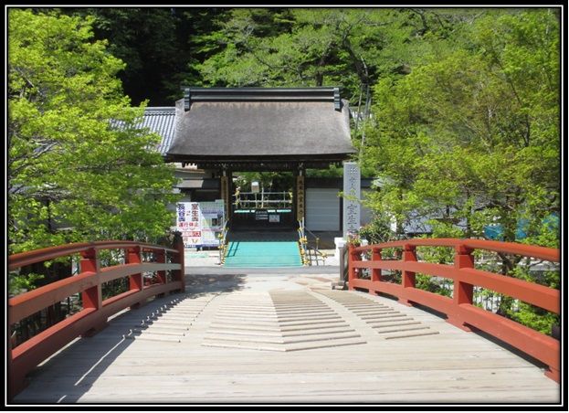 室生寺 石楠花の見頃も間もなく おやじのブログ 楽天ブログ