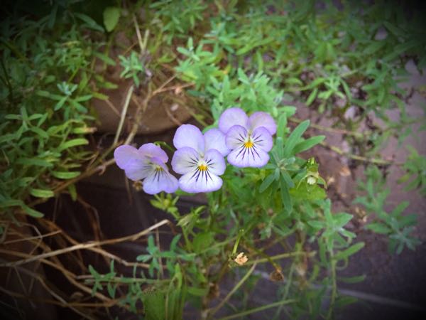rblog-20160710211216-01.jpg