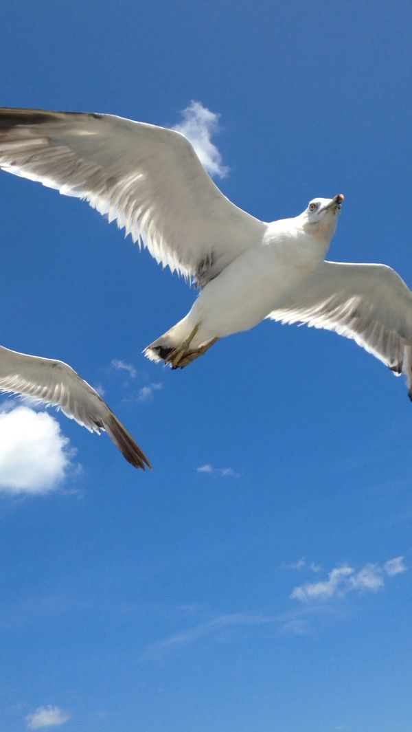 rblog-20140821202648-03.jpg