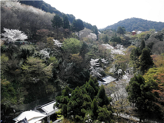kiyomizu-13