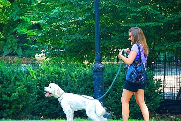 0823 centralpark01.jpg