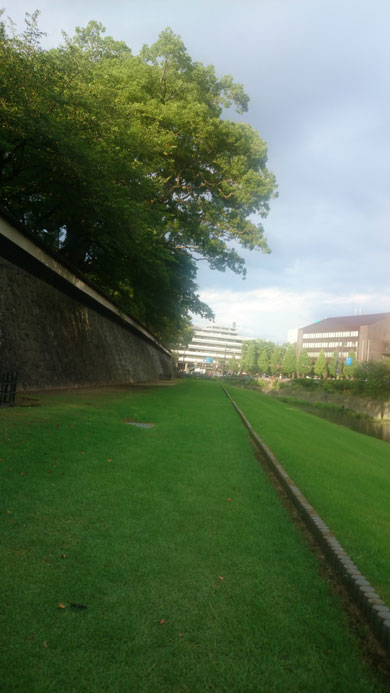7301.jpg