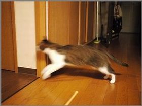 くりばしり