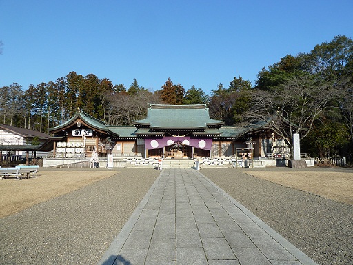 2013.3.17 034.JPG
