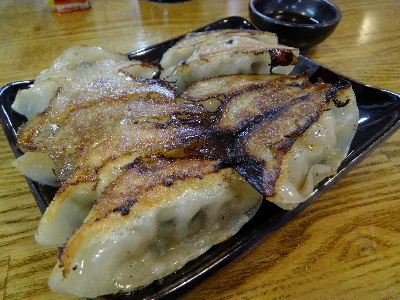 gyouza