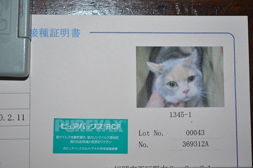2012.5.17wa3.jpg