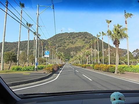 IMG_3097.jpg
