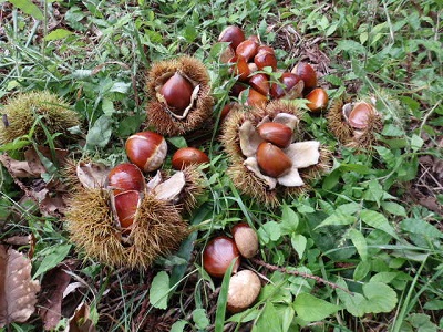 P9100026.JPG