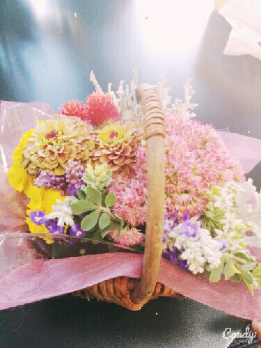rblog-20150920215448-01.jpg