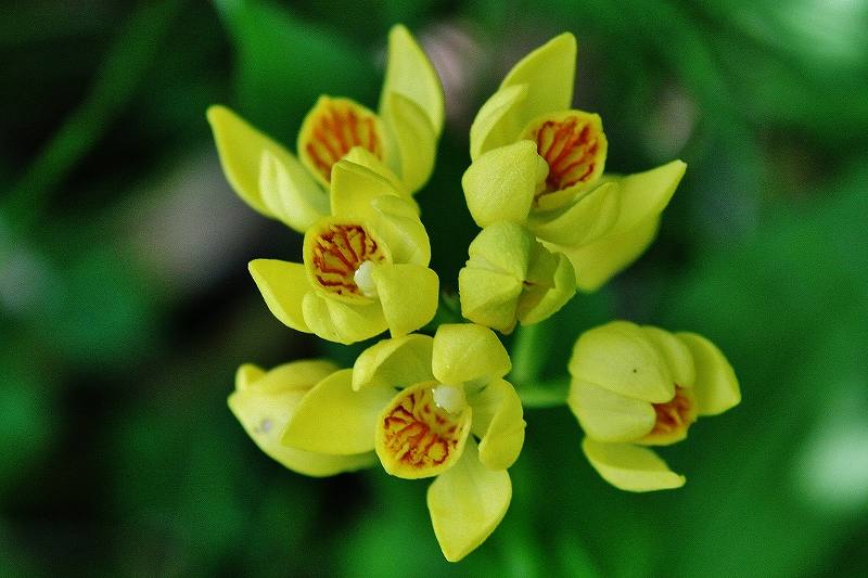 IMG_0784 (800x533).jpg