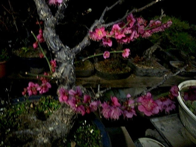 120220_190726.jpg