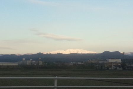 DSC_1174-p.jpg