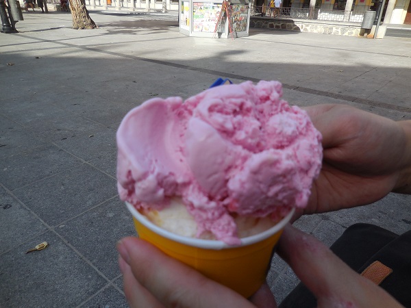 DSCN8232.jpg