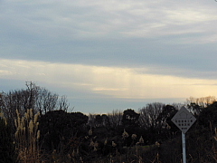 conv0108.JPG