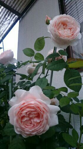 rblog-20160510094419-02.jpg