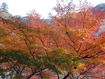 清水４.jpg