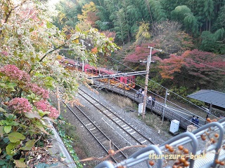 PB230279(25%).jpg