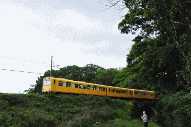 電車6アニメ