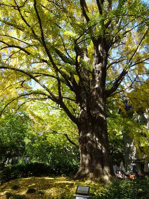 DSC07570_R.JPG
