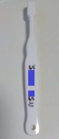 サンプル画像