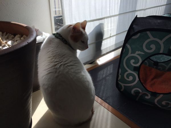 rblog-20141223111428-01.jpg