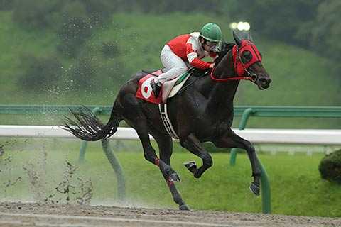 2ページ目の 横川典視 地方競馬の楽天競馬 日替わりライターブログ 楽天ブログ