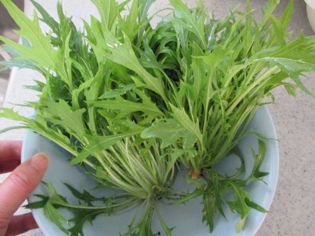 家庭菜園 水菜などの収穫 ろびん のハンドメイド 楽天ブログ