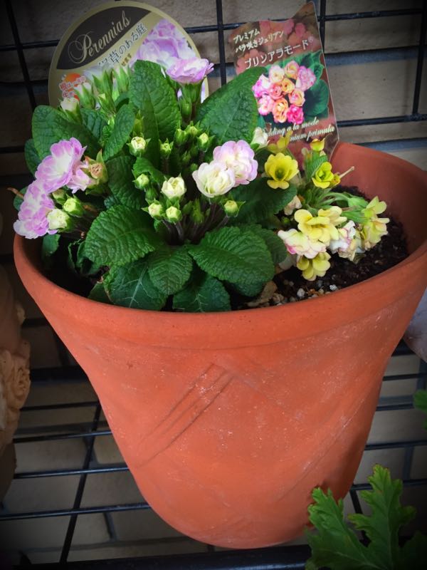 rblog-20160330190811-09.jpg