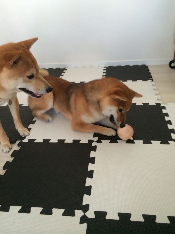 rblog-20150722115932-15.jpg