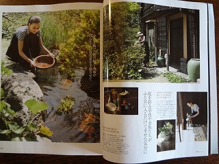 DSC01455.jpg
