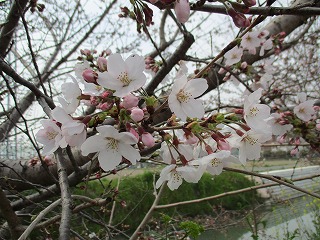 IMG_8629ss.jpg