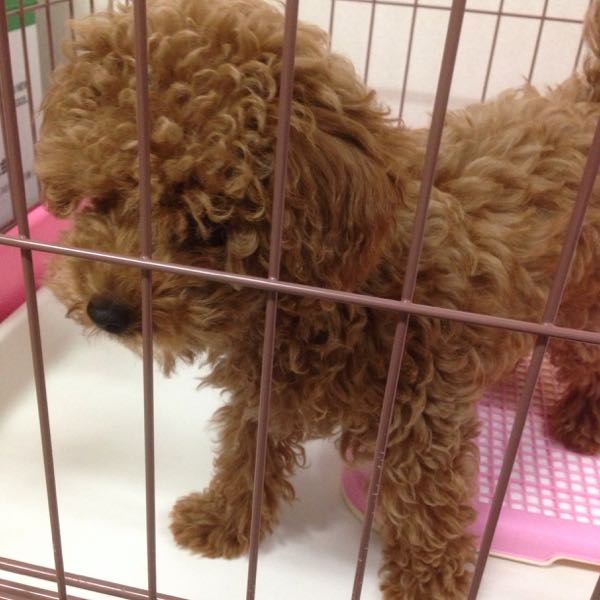 rblog-20150621002138-01.jpg