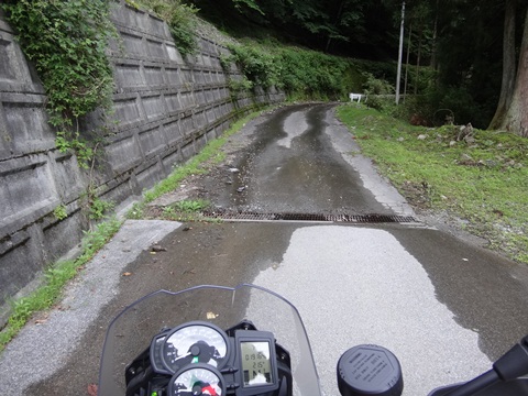 DSC01591.JPG