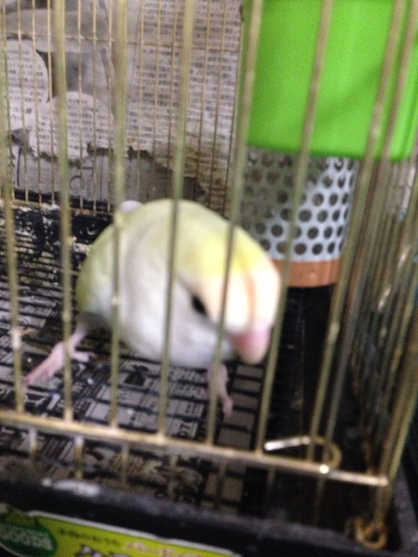 rblog-20140423190001-00.jpg