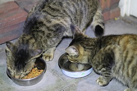 IMG_4267-14.jpg
