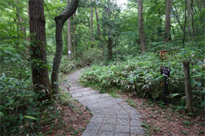 佳松園161.jpg