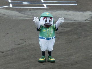 raity.jpg