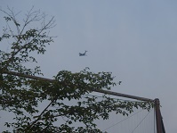 2016_0520_051751-P5202307-5.jpg