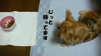 2013-06-16-4.jpg