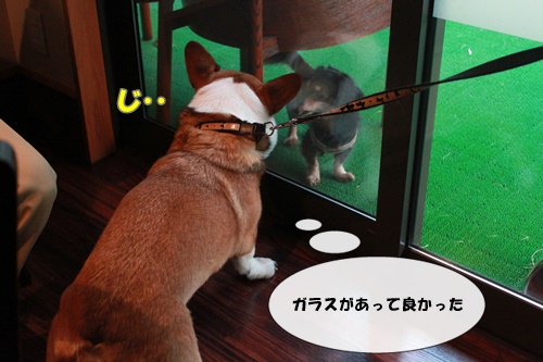 IMG010911.JPG