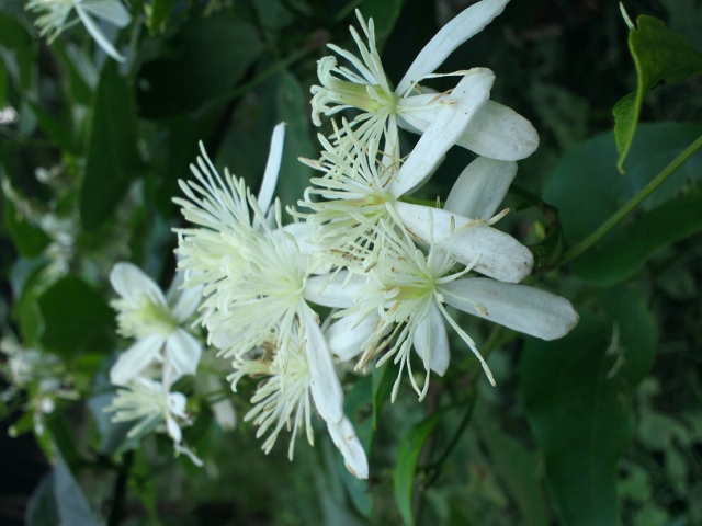 KIMG0068 (640x480).jpg