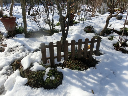雪の庭