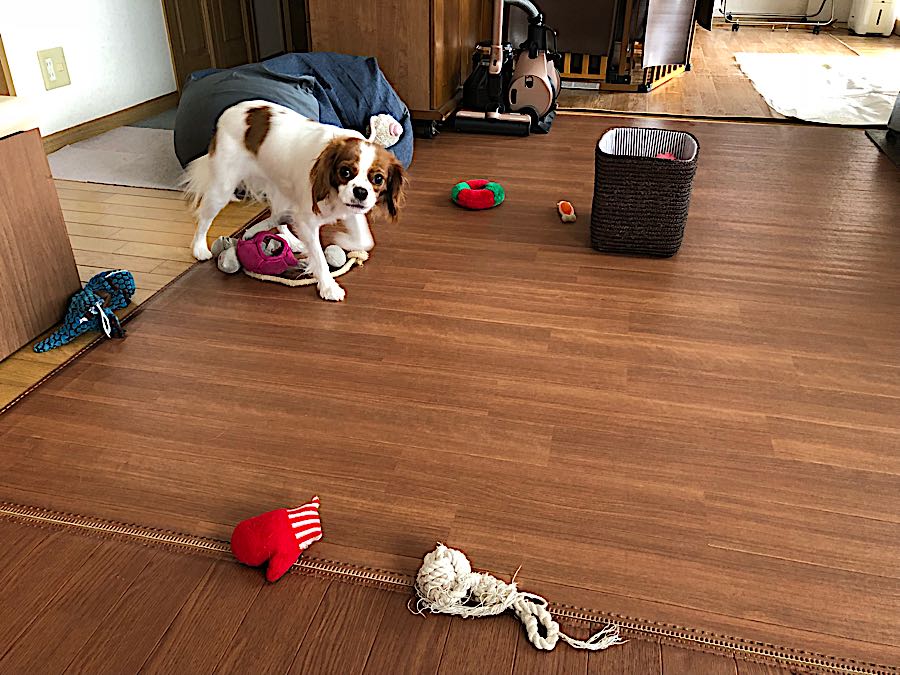 rblog-20181114100110-02.jpg