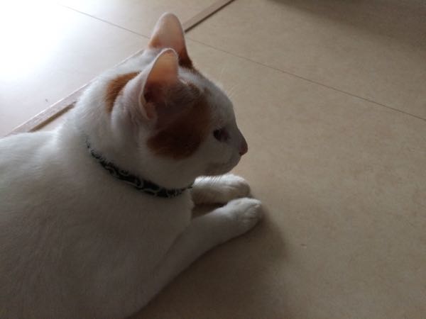 rblog-20150824062523-01.jpg
